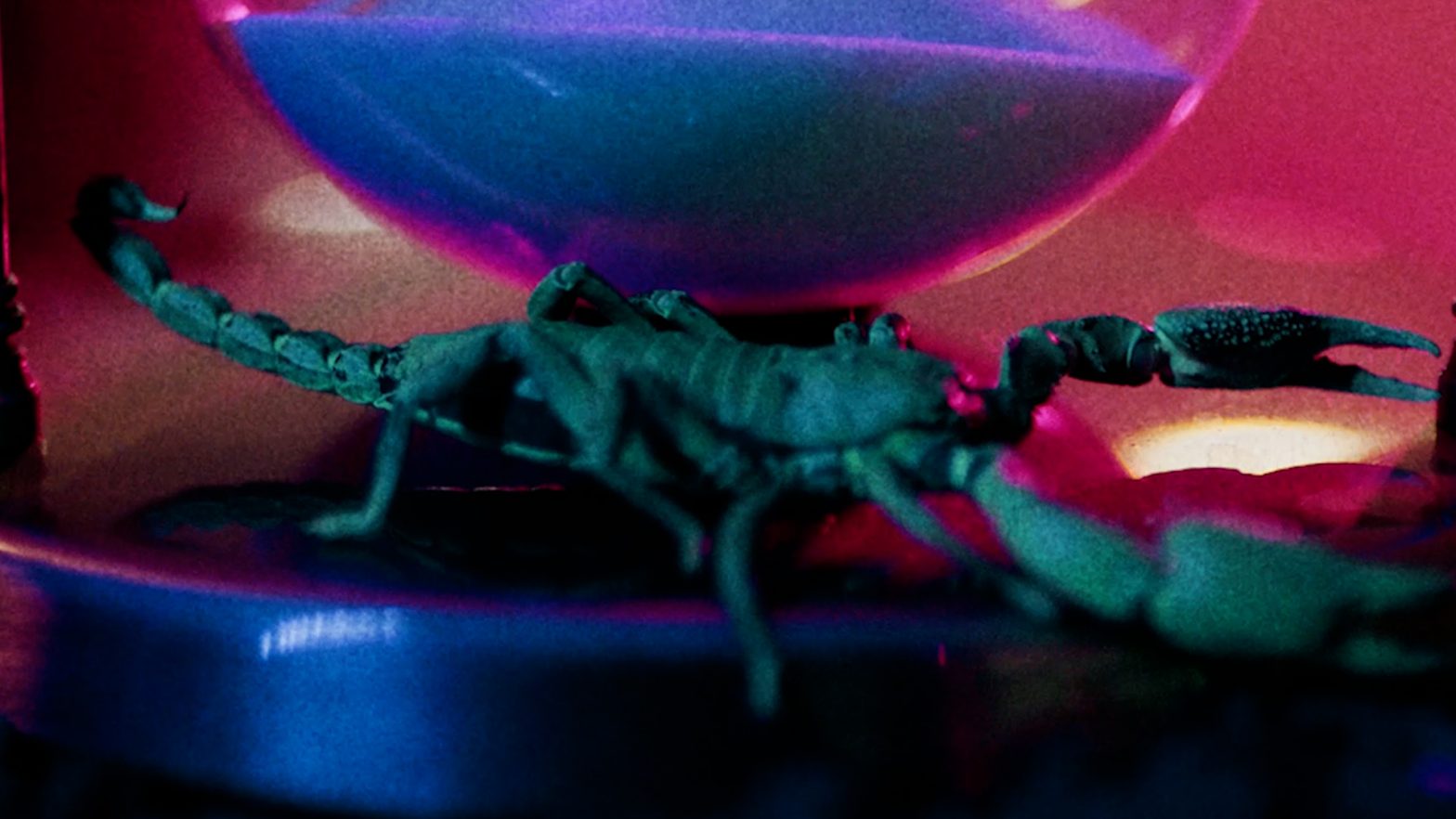 PLLWS - Won't Forget